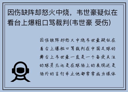 因伤缺阵却怒火中烧，韦世豪疑似在看台上爆粗口骂裁判(韦世豪 受伤)