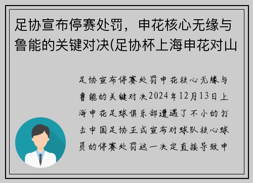 足协宣布停赛处罚，申花核心无缘与鲁能的关键对决(足协杯上海申花对山东鲁能)